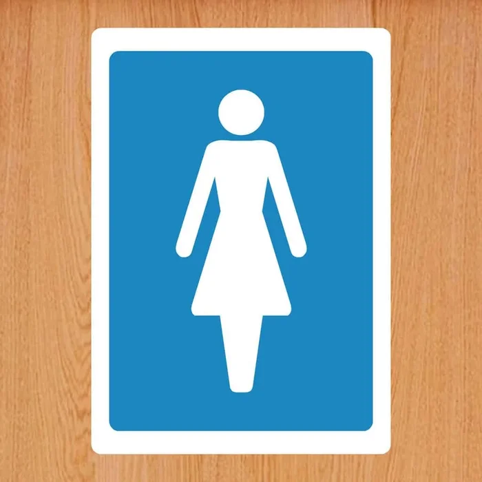 Blue Ladies Toilet Sign