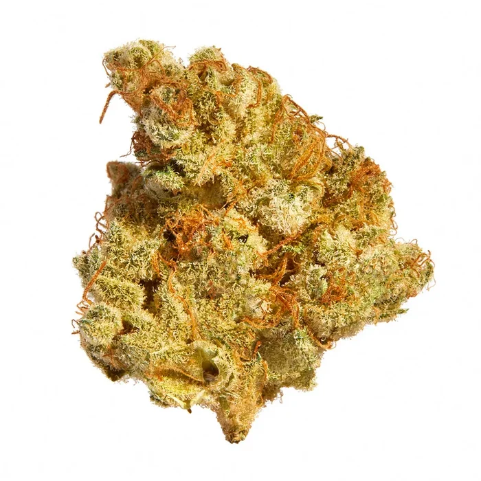 Broken Coast Galiano