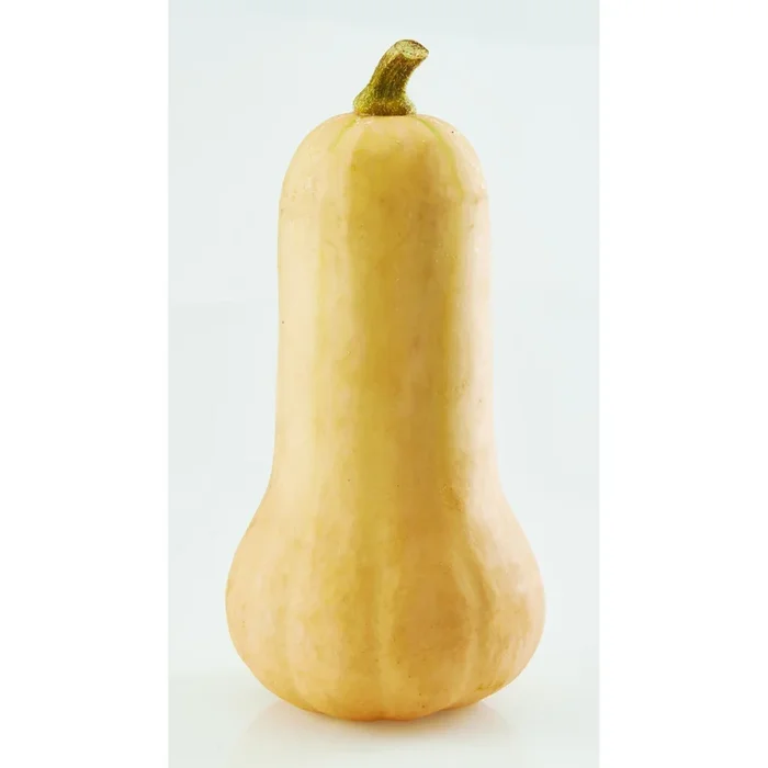 Butternut Squash, Single