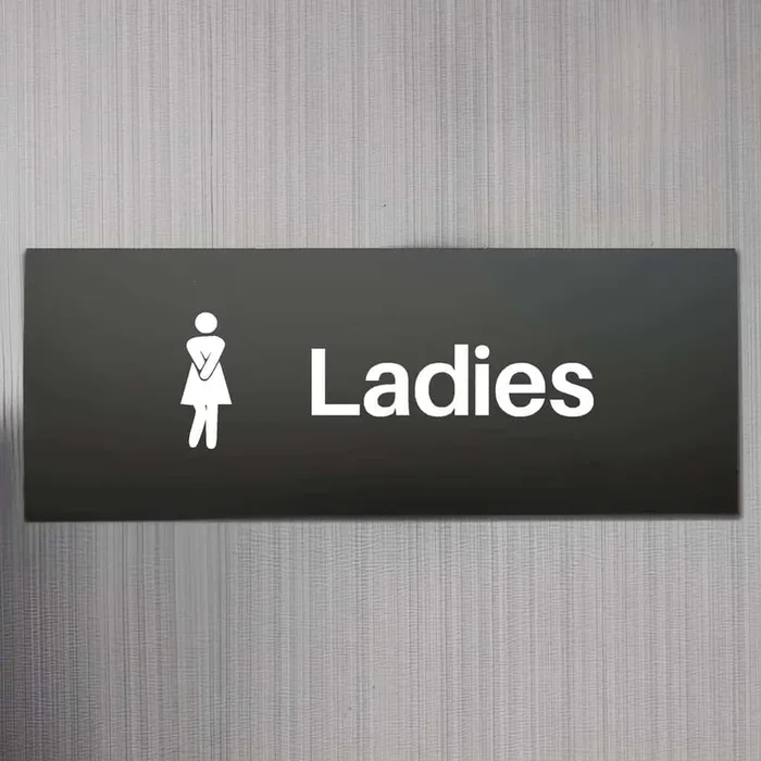 Comic Ladies Toilet Sign