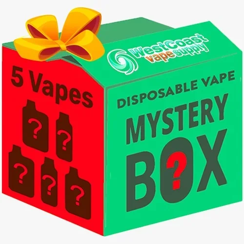 Disposable Vape Mystery Bundle 5-Pack