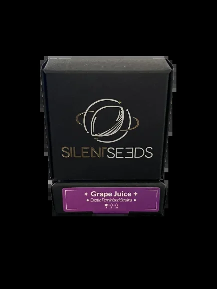 Grape Juice x3 – Silent (Ex Dinafem)