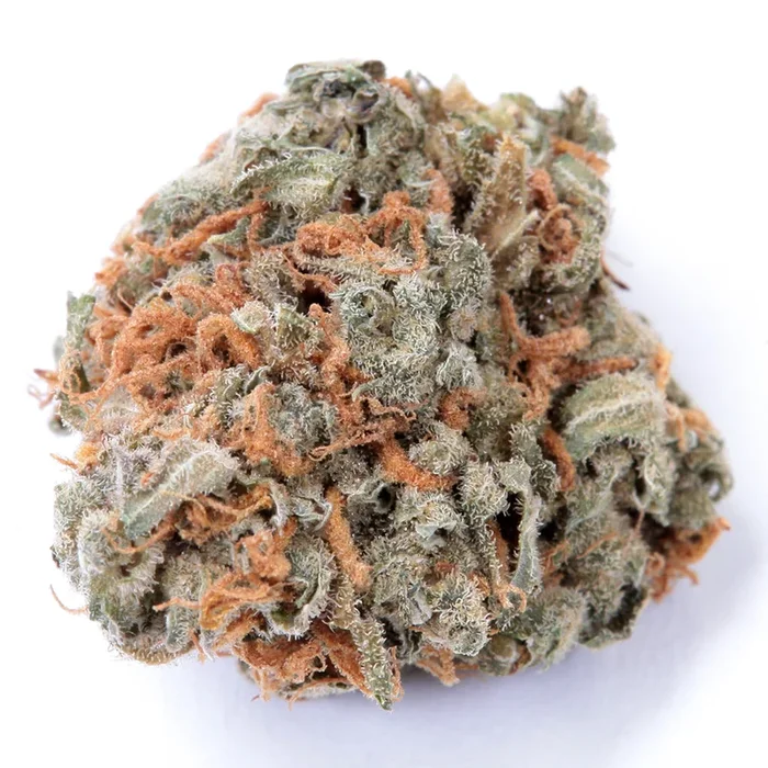 Haven St. No. 417 Indigo Daze