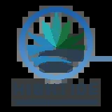 High Tide Dark Star Flower