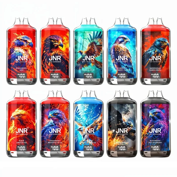 JNR Falcon X 28000 – Rechargeable Kit 28000 Puffs