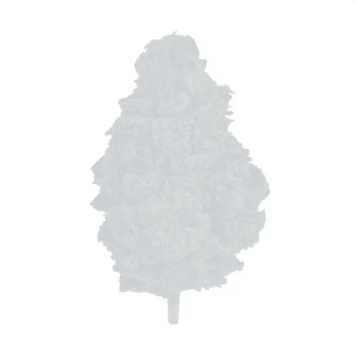 MBR Sitka Micro Collection Ice Wreck