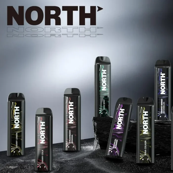 NORTH 5000 PUFFS