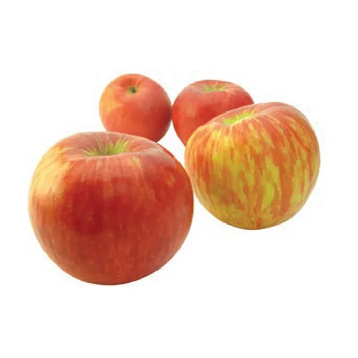 Pommes Honeycrisp – 3 lb