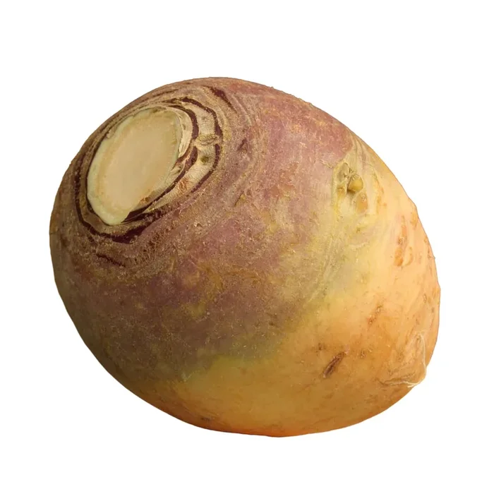 Rutabaga, Single