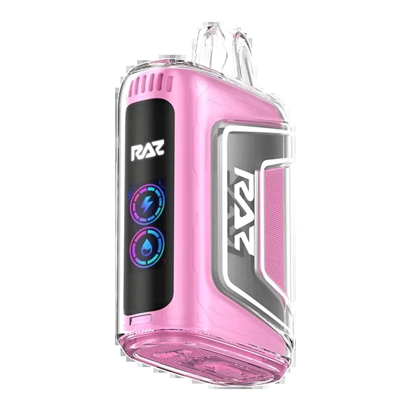 Strawberry Shortcake RAZ TN9000