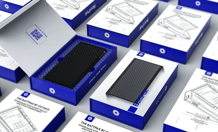 THE BATTPAK BY OCTAVE- POWER BANK AND TRAVEL SAFE