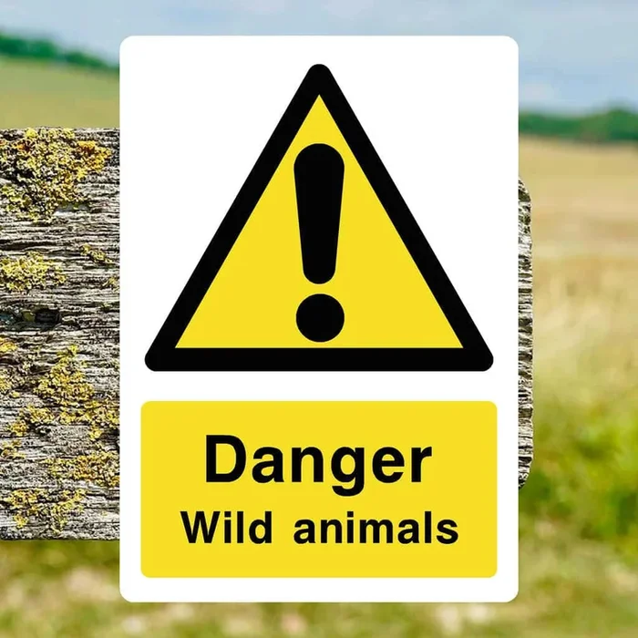 Wild Animals Warning Sign
